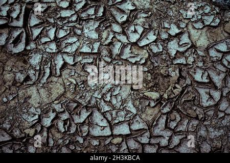 Seamless soil surface Stock Photo