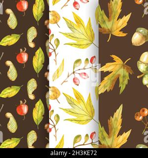 collection watercolor autumn patterns vector design illustration Stock Vector