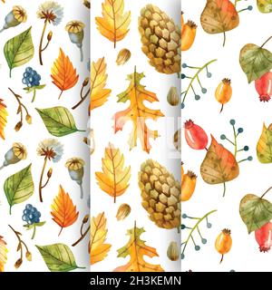 collection watercolor autumn patterns vector design illustration Stock Vector