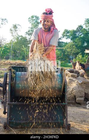 Indian farmer is separating rice paddy from crops by using machine ...