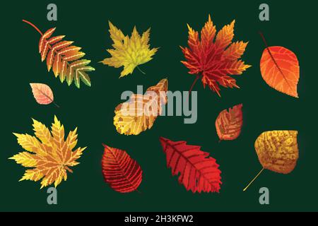 realistic style autumn leaves collection vector design illustration Stock Vector