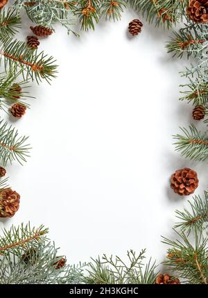 Fir tree branches with cones border isolated on white Stock Photo