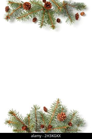 Fir tree branches with cones composition on white background Stock Photo