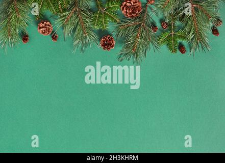 Fir tree branches on green background Stock Photo