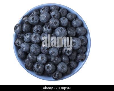 Bowl full of fresh ripe blueberries on white background.  Top view, close up. Stock Photo