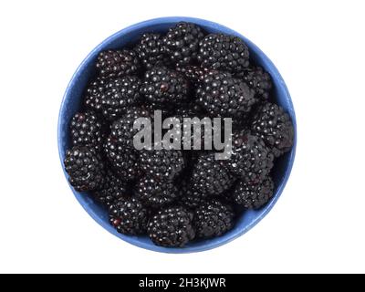 Ripe fresh blackberries in a bowl on white background. Top view. Stock Photo