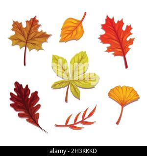 Flat autumn leaves collection Vector illustration Stock Vector Image ...