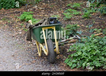Wheelbarrow and tools seen in the garden. Stock Photo