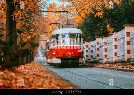 Prague tram on unique section of the tram line which is a popular tourist attraction in Prague, especially in autumn, in Prague, Czech Republic, Octob Stock Photo