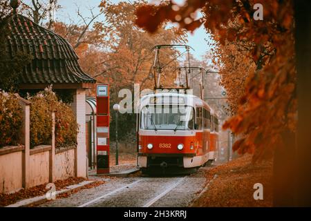 Prague tram on unique section of the tram line which is a popular tourist attraction in Prague, especially in autumn, in Prague, Czech Republic, Octob Stock Photo