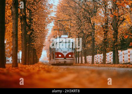 Prague tram on unique section of the tram line which is a popular tourist attraction in Prague, especially in autumn, in Prague, Czech Republic, Octob Stock Photo