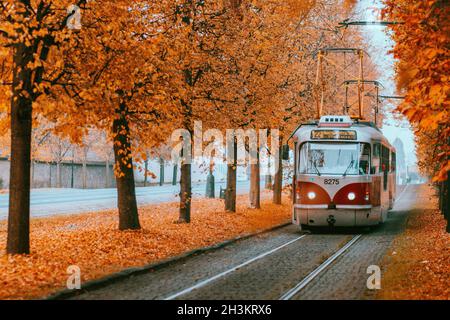 Prague tram on unique section of the tram line which is a popular tourist attraction in Prague, especially in autumn, in Prague, Czech Republic, Octob Stock Photo