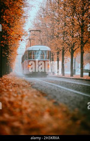 Prague tram on unique section of the tram line which is a popular tourist attraction in Prague, especially in autumn, in Prague, Czech Republic, Octob Stock Photo