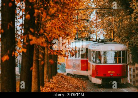 Prague tram on unique section of the tram line which is a popular tourist attraction in Prague, especially in autumn, in Prague, Czech Republic, Octob Stock Photo