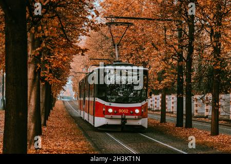 Prague tram on unique section of the tram line which is a popular tourist attraction in Prague, especially in autumn, in Prague, Czech Republic, Octob Stock Photo