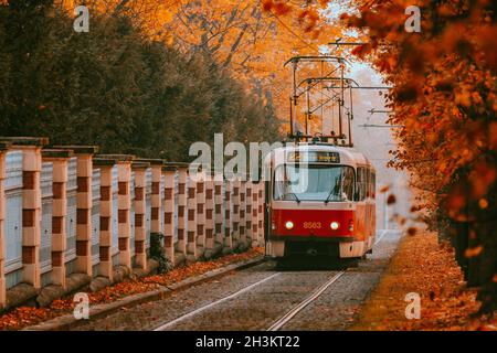 Prague tram on unique section of the tram line which is a popular tourist attraction in Prague, especially in autumn, in Prague, Czech Republic, Octob Stock Photo