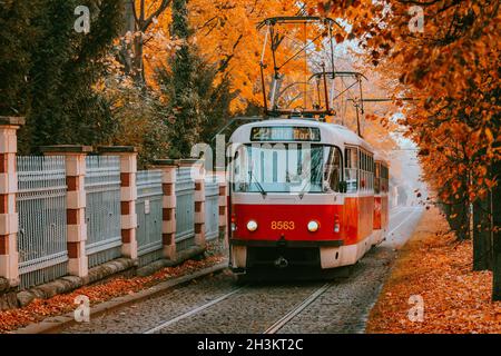 Prague tram on unique section of the tram line which is a popular tourist attraction in Prague, especially in autumn, in Prague, Czech Republic, Octob Stock Photo