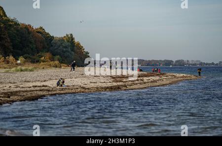 Kiel, Germany. 29th Oct, 2021. Walkers are out and about on the beach at Friedrichsort in the autumn sunshine. Credit: Axel Heimken/dpa/Alamy Live News Stock Photo