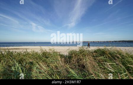 Kiel, Germany. 29th Oct, 2021. Walkers are out and about on the beach at Friedrichsort in the autumn sunshine. Credit: Axel Heimken/dpa/Alamy Live News Stock Photo