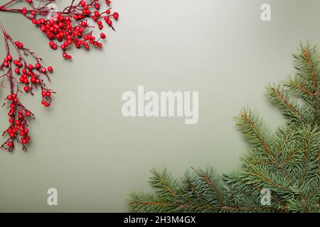 Christmas green framework background from pine tree branch and red berrys. Stock Photo