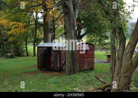 Rusty old  metal and wood shed on grass among trees in a rural setting Stock Photo