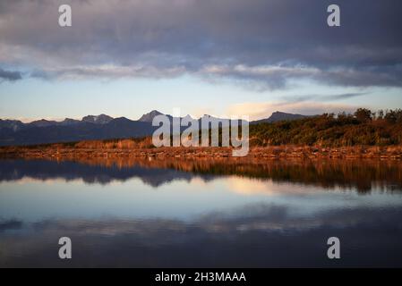 The colors of the sunset reflecting on the vegetation of the shores of the lotoraneo pond in Marina di Vecchiano, Pisa, Italy. Stock Photo