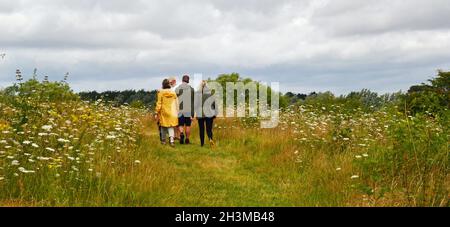 Group of people walking through the nature reserve at Alton Water, Suffolk, UK Stock Photo