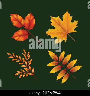 realistic autumn leaves collection vector design illustration Stock Vector