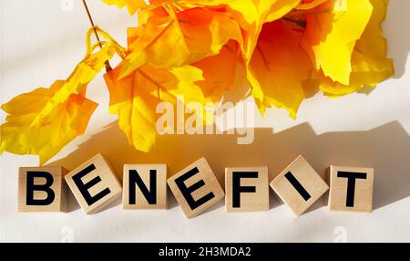 The word benefits is written on wooden cubes on a white background with foliage lying nearby Stock Photo