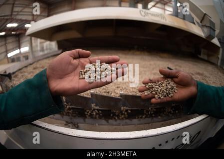 Addis Ababa. 21st Oct, 2021. Photo taken on Oct. 21, 2021 shows coffee beans in a processing machine at Kerchanshe Trading Private Limited Company in Addis Ababa, Ethiopia. TO GO WITH 'Interview: Ethiopian coffee exporter eyeing Chinese market' Credit: Michael Tewelde/Xinhua/Alamy Live News Stock Photo