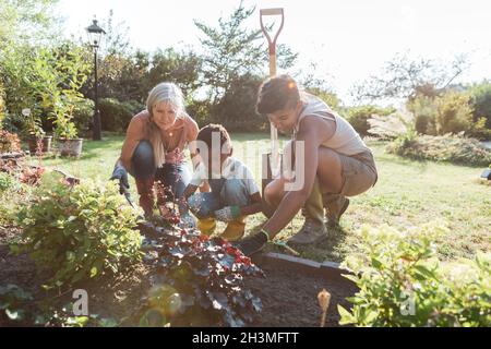 Multi-generational family planting together on sunny day Stock Photo