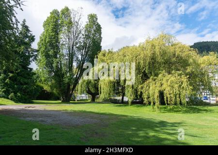 Queenstown Recreational Reserve ,New Zealand Stock Photo