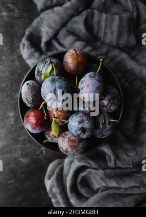Top view of bowl of fresh picked plums on black background. Stock Photo
