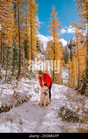 Female Hiker and Dog Hiking Through Larches In The Fall Stock Photo