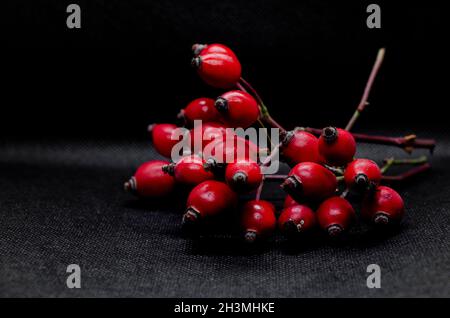 red rose hips on black background Stock Photo