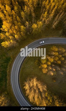 Drone view of car driving on curvy asphalt road going through trees covered with dry yellow foliage in woodland in Reykjavik