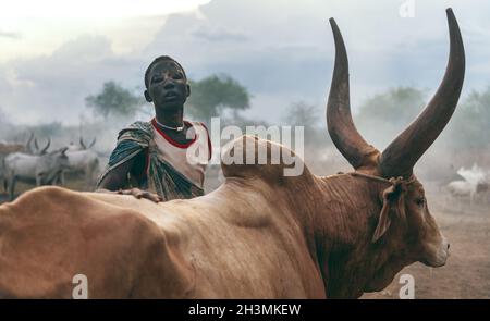 MUNDARI TRIBE, SOUTH SUDAN - MARCH 11, 2020: Teen boy from Mundari Tribe standing behind brown Ankole Watusi cow and looking at Stock Photo