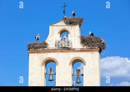 Storks on the Bell Tower of a Church in Avila, Spain Stock Photo