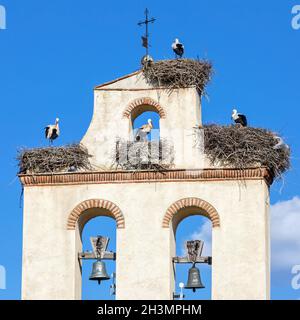 Storks on the Bell Tower of a Church in Avila, Spain Stock Photo