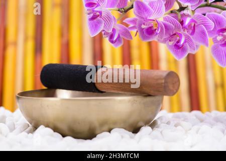 Singing bowl in zen garden Stock Photo