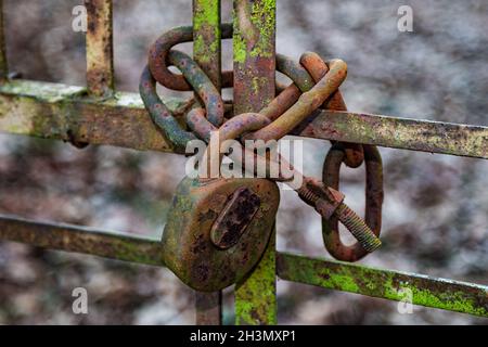 Old rusty and aged gate. Weathered door locked with padlock. Lock and closed. Stock Photo
