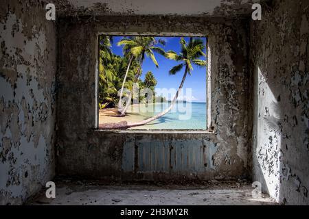 View of a sea beach with palms trees, through a window hole in a abandoned panel house. Stock Photo