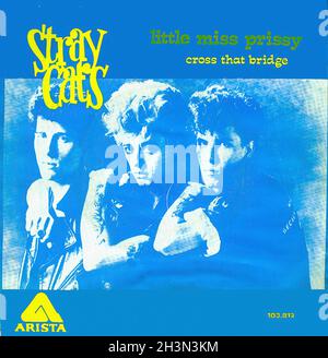 vintage-vinyl-recording-stray-