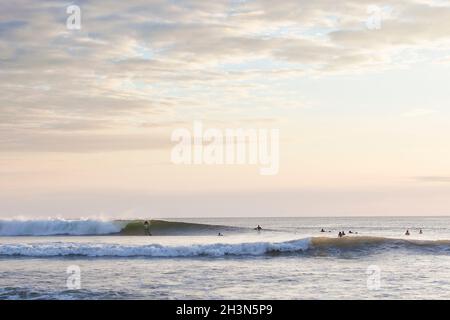 USA, California, Montara, Rear view of surfer on beach Stock Photo