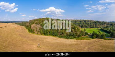 Forest dieback in the Harz Mountains Stock Photo