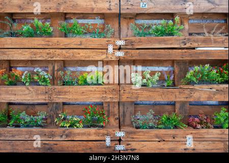 Wood pallet recycled as a flower pot, hung on a wall. Stock Photo