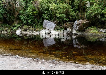 Oparara river flowing through lush and untouched temperate rainforest Stock Photo