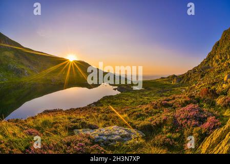 Sunrise over Ffynnon Lloer glacial lake and heather in the mountains in Snowdonia National Park, North Wales, UK Stock Photo