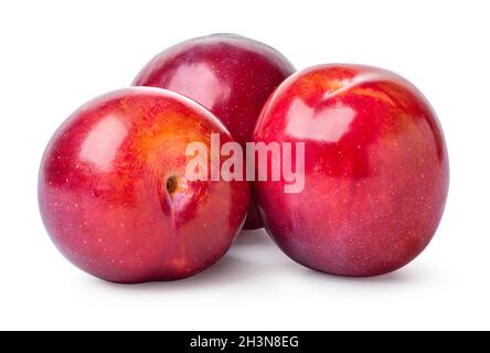 Three fresh plums Stock Photo