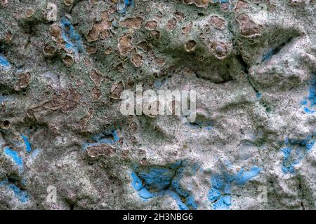 A Green and blue color abstract wall texture or background Stock Photo